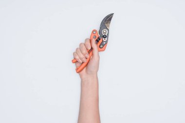 cropped shot of woman holding cutting pliers isolated on white clipart
