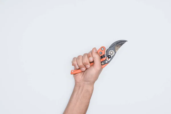 Cropped Shot Man Holding Wire Cutter Isolated White — Free Stock Photo