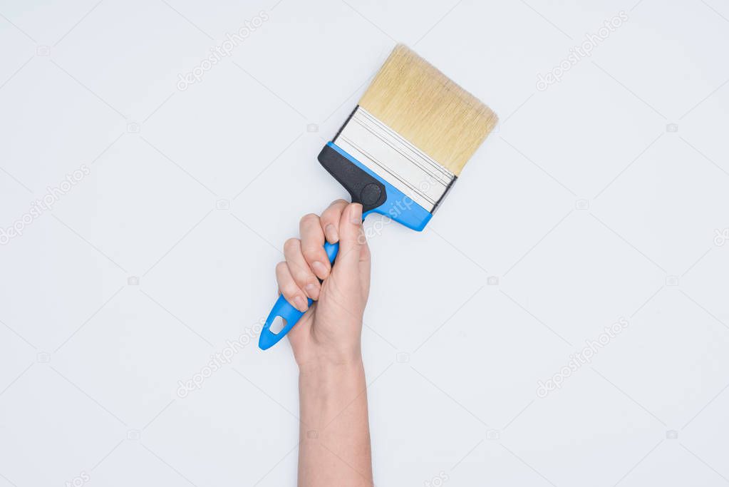 cropped shot of woman holding paint brush tool isolated on white