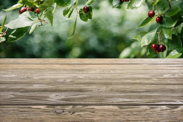 Template Brown Wooden Floor Cherry Tree Blurred Green Background — Stock Photo, Image