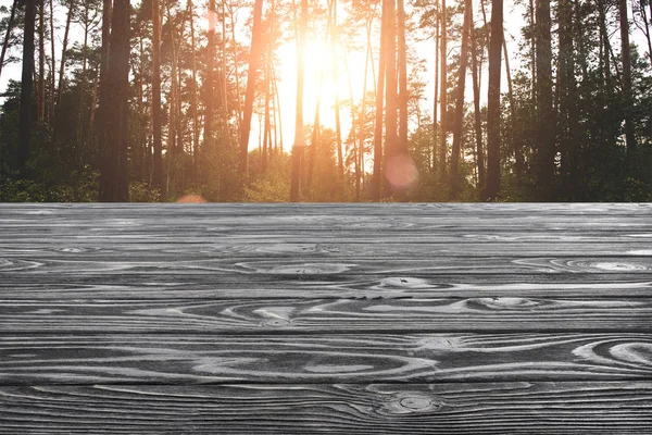Template Grey Wooden Floor Pine Tree Forest Background — Stock Photo, Image
