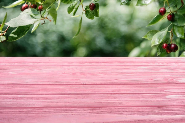 Template Pink Wooden Floor Cherry Tree Background — Free Stock Photo