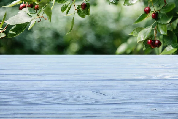 Modello Pavimento Legno Azzurro Con Ciliegio Sullo Sfondo — Foto Stock