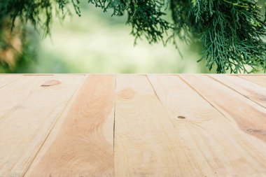 template of beige wooden floor made of planks on blurred green background with pine tree leaves clipart