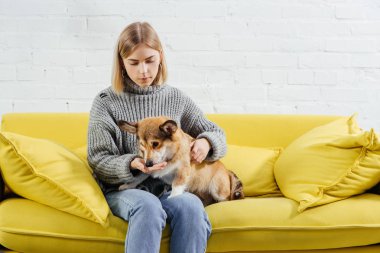 kanepede oturan ve tedavi şirin pembroke welsh corgi köpek veren güzel kadın
