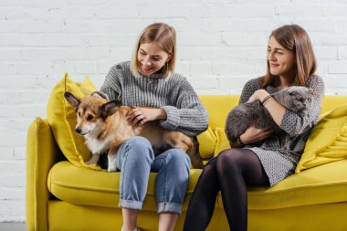 kanepede oturan ve sevimli pembroke welsh corgi İskoç ile tutan genç kadın kedi kat