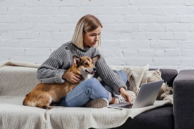 Genç kadın ile şirin pembroke Galce corgi köpek kanepede oturan ve dizüstü bilgisayar kullanarak