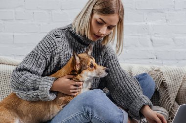 kanepede oturan ve pembroke welsh corgi köpek tutan güzel genç kadın