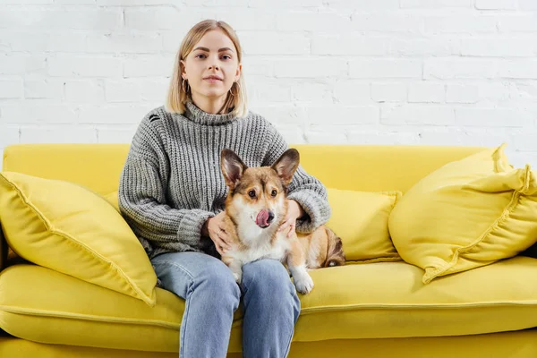 有吸引力的女人坐在沙发上 看着相机 拿着有趣的威尔士科尔吉狗 — 图库照片