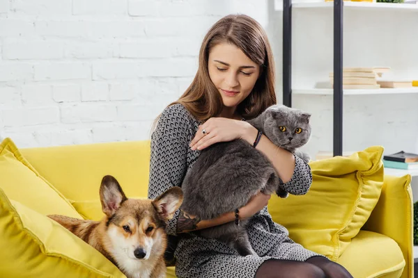 Wanita Cantik Duduk Sofa Dengan Pembroke Welsh Corgi Dan Kucing — Stok Foto