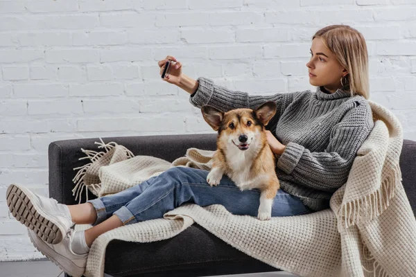美丽的女孩采取自拍与科尔吉狗在沙发上 — 图库照片
