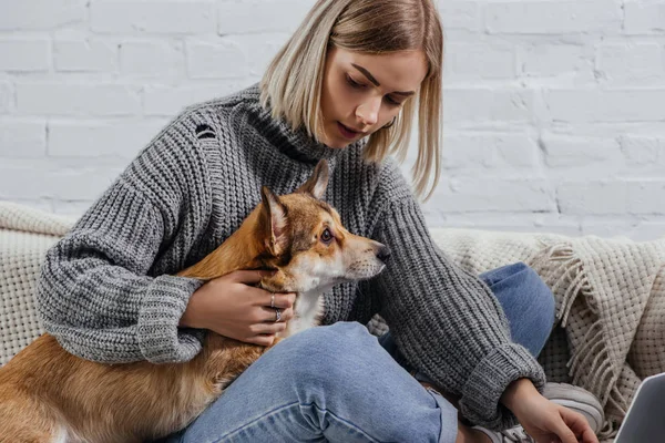 Beautiful Young Woman Sitting Sofa Holding Pembroke Welsh Corgi Dog — Stock Photo, Image