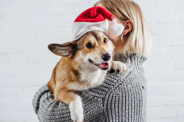 Girl Grey Sweater Holding Cute Pembroke Welsh Corgi Dog Santa — Stock Photo, Image