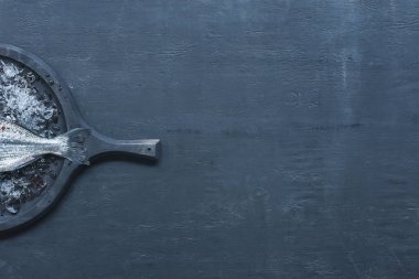 Tepsi çiğ balık ile yükseltilmiş görünümü tablo