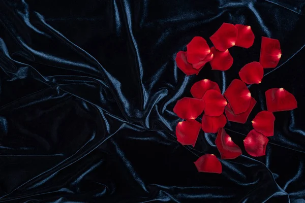 Panno Velluto Nero Lucido Con Mucchio Petali Rosa Rossa Spazio — Foto Stock