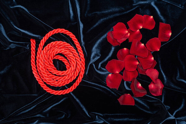 top view of rose petals and bright red rope on shiny velour cloth