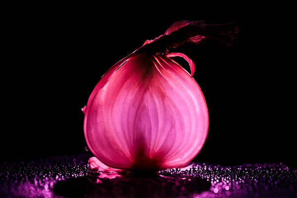 slice of raw onion with water drops and neon pink back light on black background