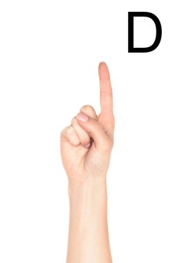 cropped view of female hand showing latin letter - D, sign language, isolated on white clipart