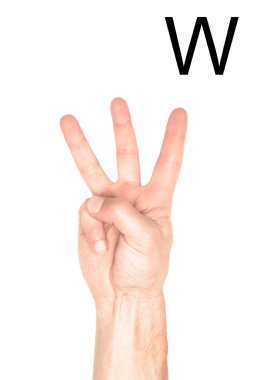 partial view of male hand showing latin letter - W, deaf and dumb language, isolated on white clipart