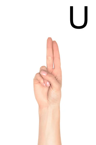 Cropped View Female Hand Showing Latin Letter Deaf Dumb Language — Stock Photo, Image