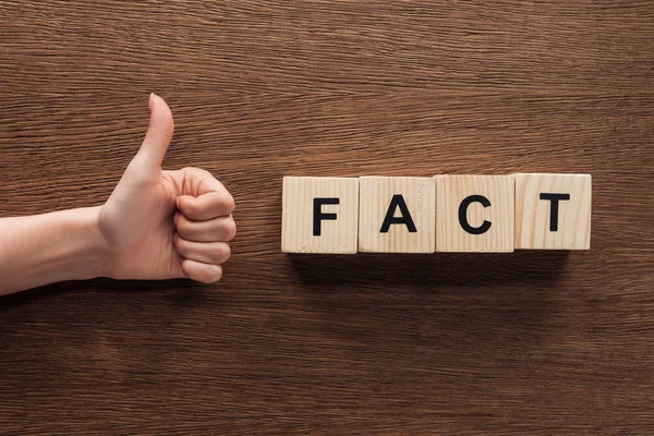 Cropped Image Journalist Showing Thumb Wooden Cubes Word Fact Wooden — Stock Photo, Image