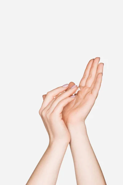 Partial View Female Hands Isolated White — Stock Photo, Image