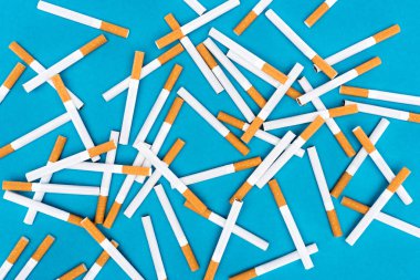 Top view of cigarettes isolated on blue  clipart