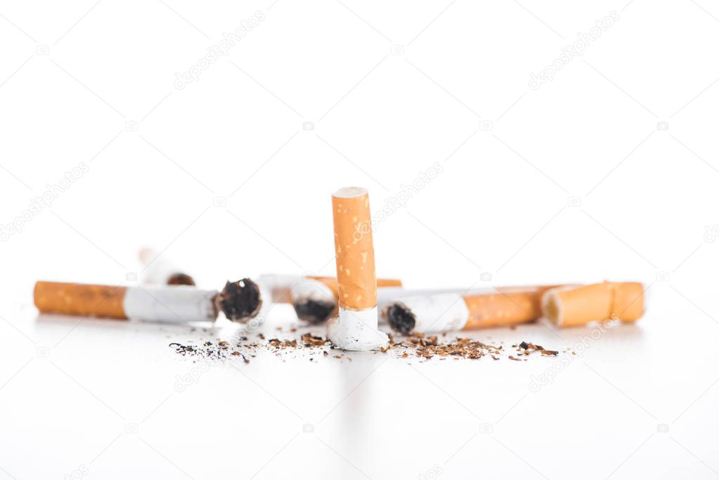 Studio shot of tobacco and cigarette butts isolated on white, stop smoking concept