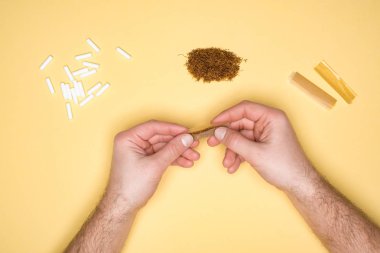 Cropped view of man making a cigarette isolated on yellow clipart