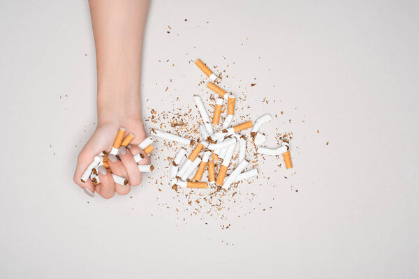 Partial view of woman posing with broken cigarettes isolated on grey, stop smoking concept
