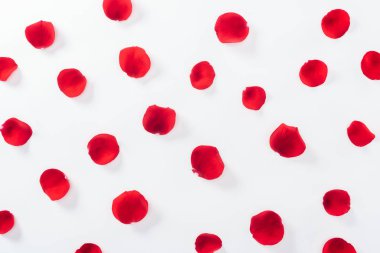 top view of red rose petals isolated on white clipart