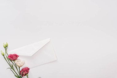 zarf ve beyaz kopya alanı ile izole çiçek üstten görünüm