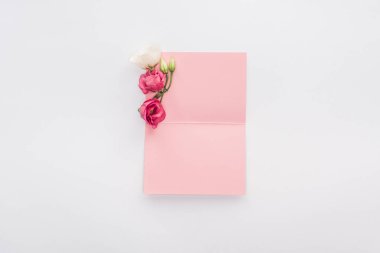 boş pembe kart ve üzerinde beyaz izole çiçek üstten görünüm