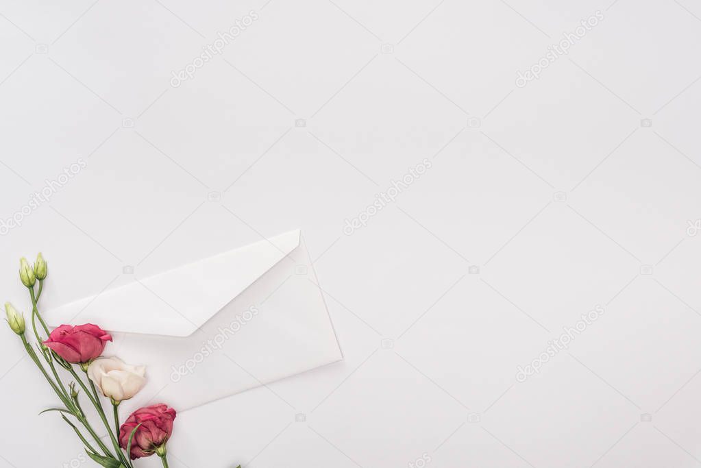 top view of envelope and flowers isolated on white with copy space