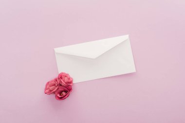 çiçek ve pink izole zarf üstten görünüm 