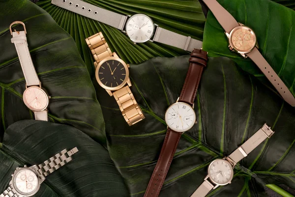 Vista Superior Relojes Pulsera Suizos Acostados Sobre Hojas Verdes —  Fotos de Stock