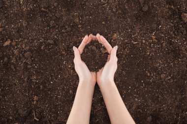 cropped view of woman holding ground in hands, protecting nature concept  clipart