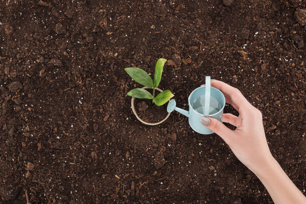 cropped view of woman watering plant in pot, protecting nature concept 