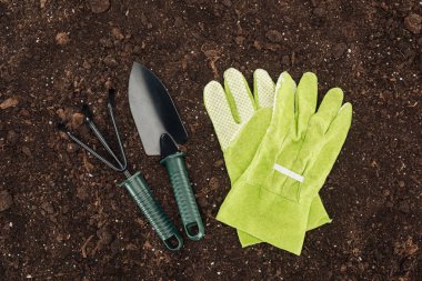 top view of gloves near shovel and rake, protecting nature concept  clipart