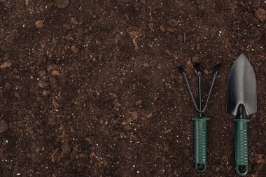 top view of shovel and rake on ground, protecting nature concept  clipart