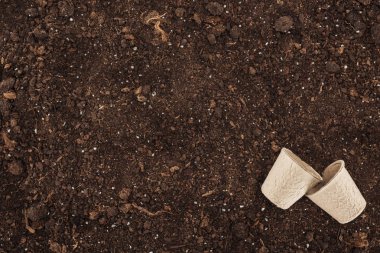 doğa kavramı koruma kullanılan tek kullanımlık bardak zeminde, üstten görünüm 
