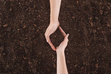 cropped view of couple holding ground in hands, protecting nature concept  clipart