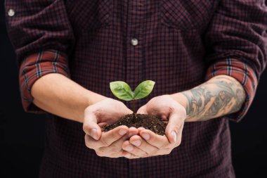 cropped view of man holding ground with green plant in hands isolated on black clipart
