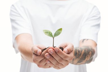 selective focus of man protecting ground with green leaves isolated on white clipart