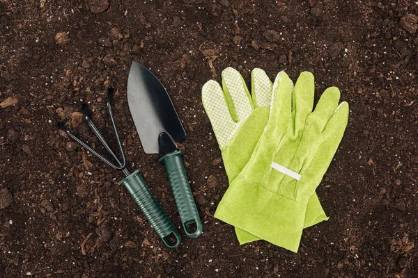 Bovenaanzicht Van Handschoenen Buurt Van Schop Hark Bescherming Van Natuur — Stockfoto