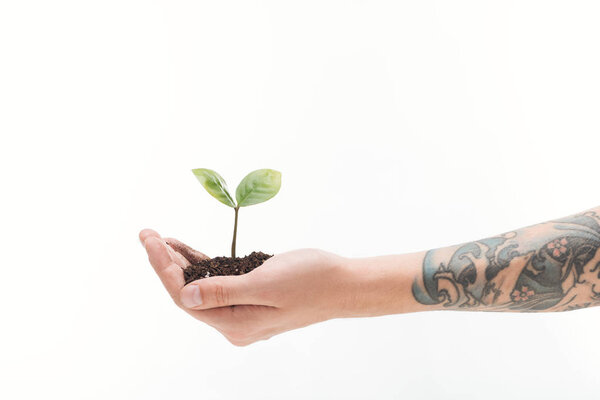 cropped view of man holding ground with green plant in hand isolated on white