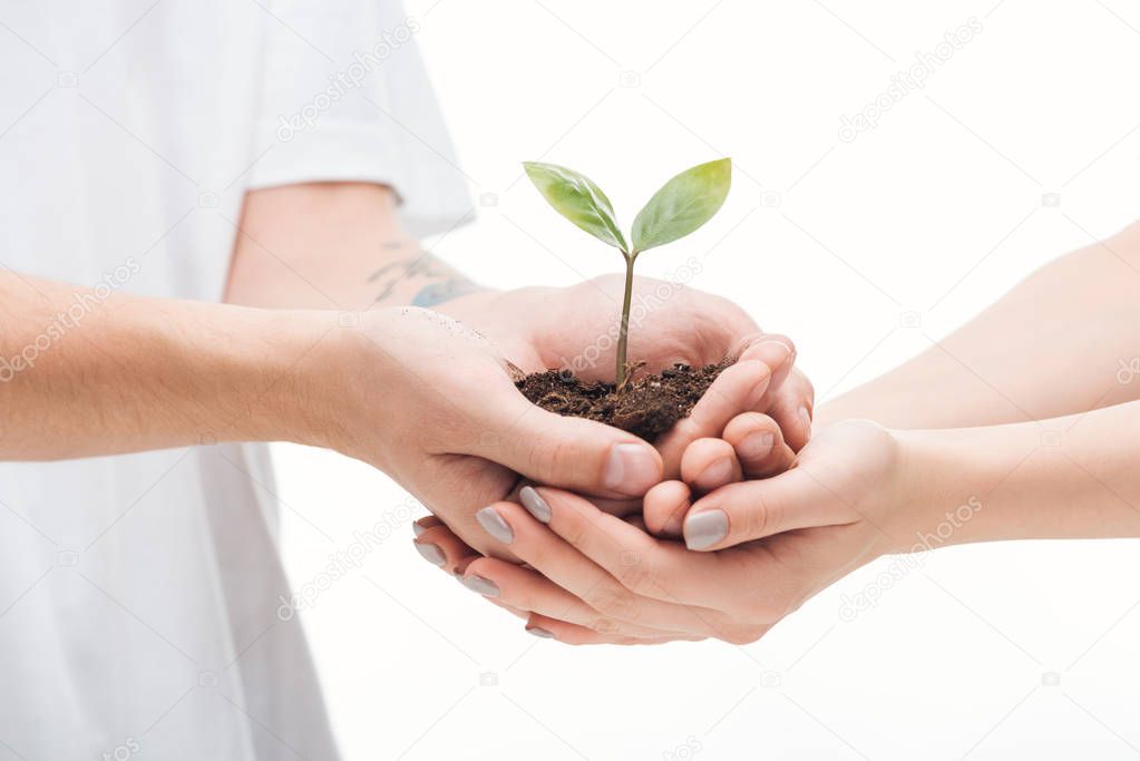 selective focus of couple holding ground with green plant in hands isolated on white