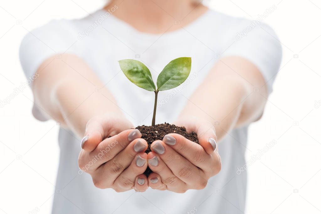 selective focus of woman saving ground with green plant isolated on white