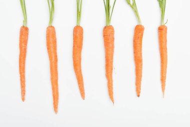 top view of fresh ripe raw carrots arranged in row isolated on white clipart