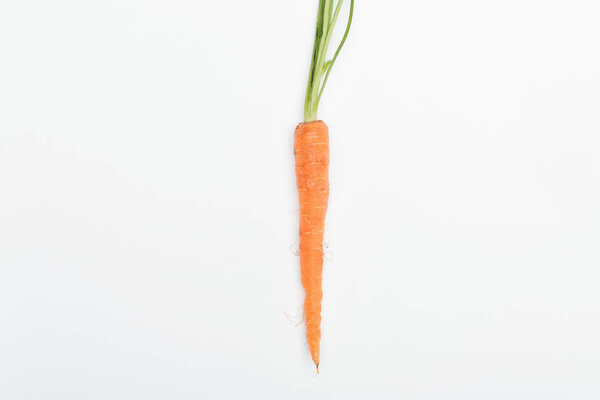 top view of whole fresh ripe raw carrot isolated on white